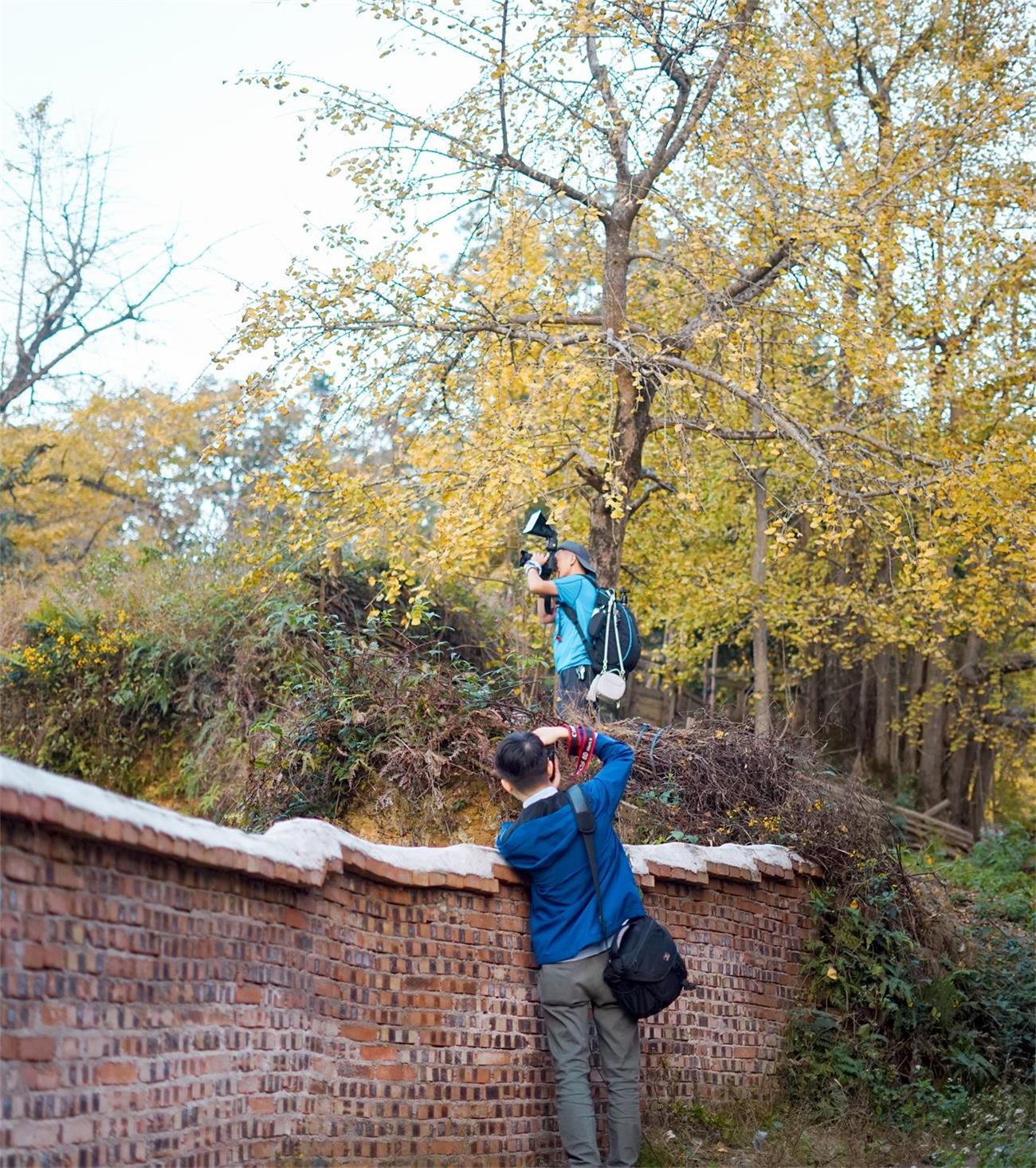 DSC03926 - 副本.jpg