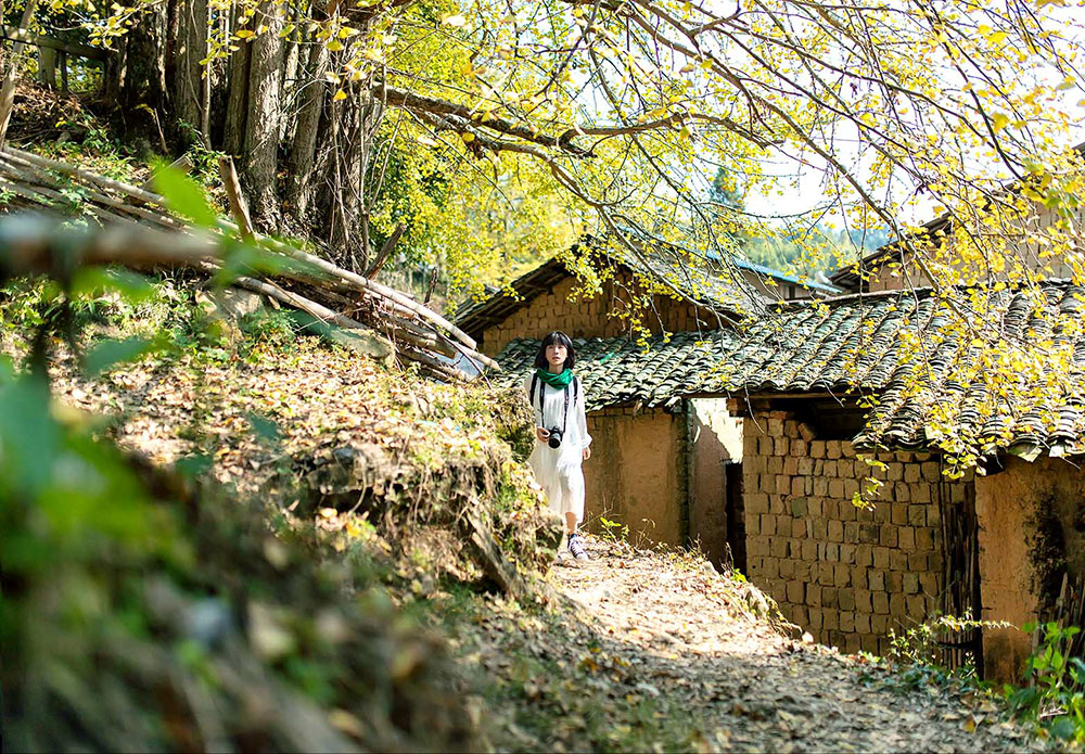沿着秋天的乡间小路，享受这里的宁静