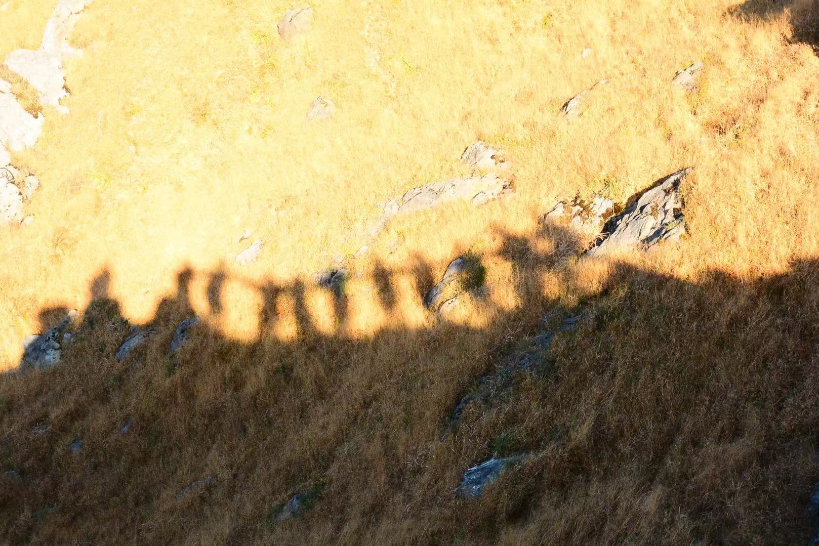 WeChat 圖片_2018112811465014.jpg