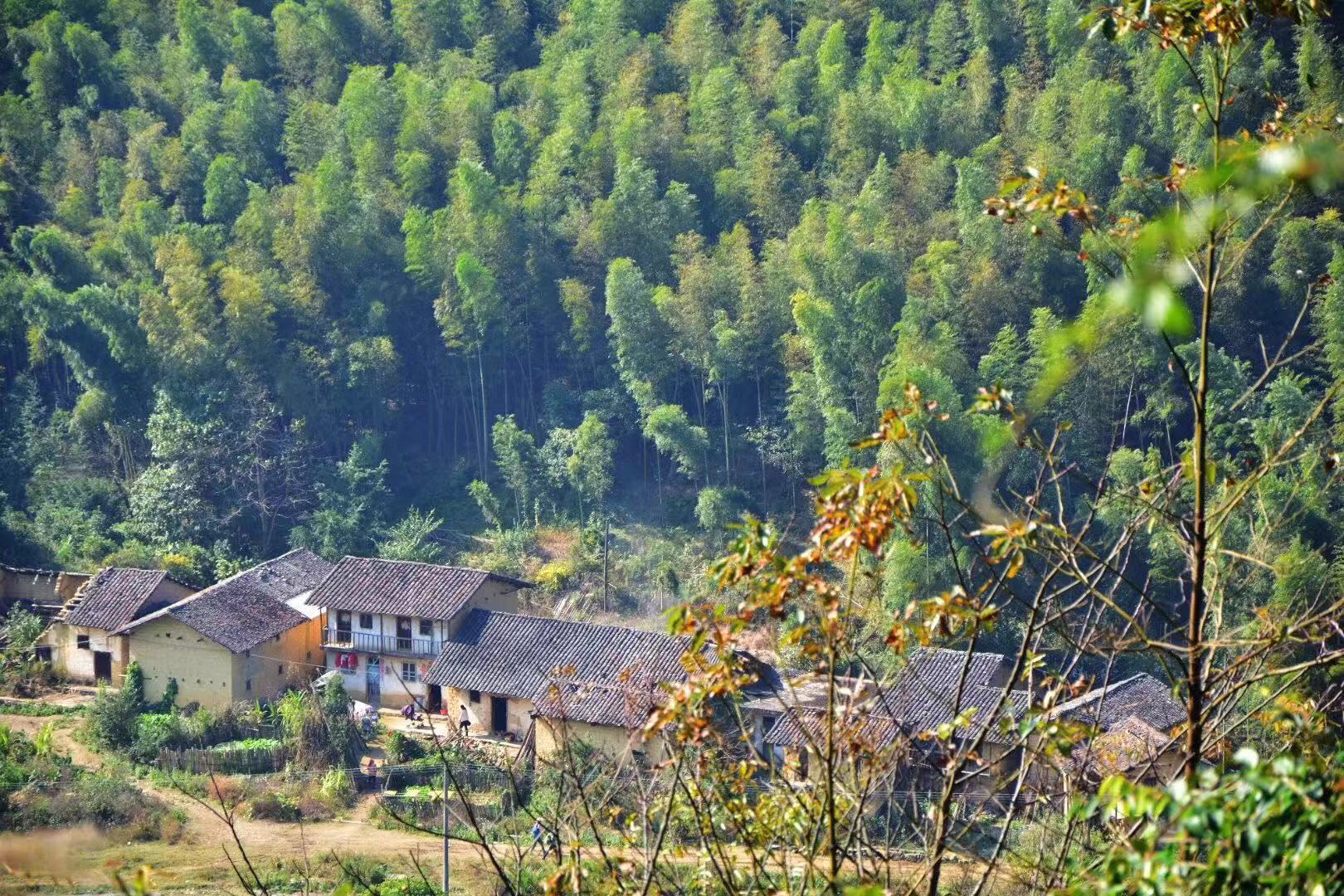 WeChat 圖片_20181128114650.jpg