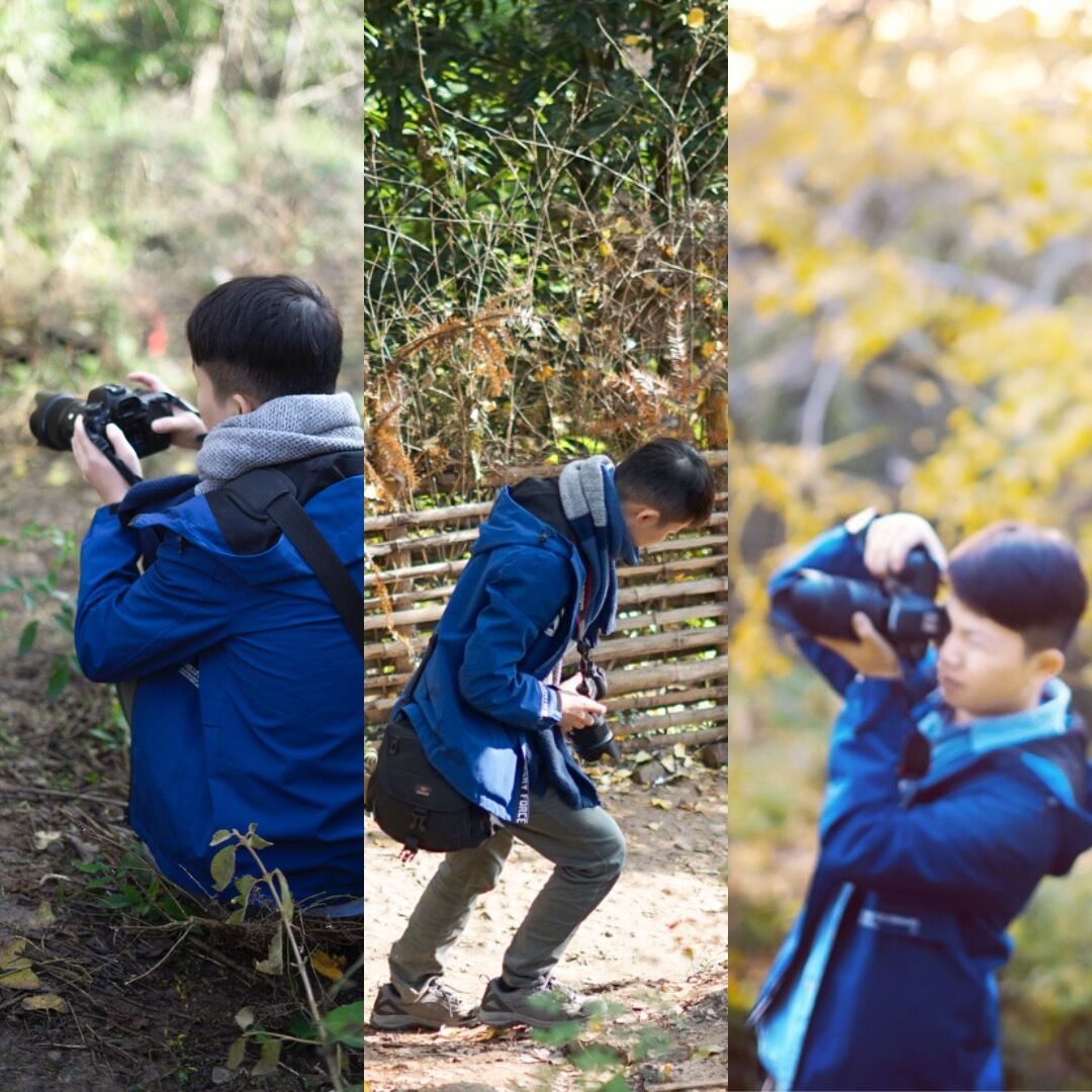 都是没拍到正面的