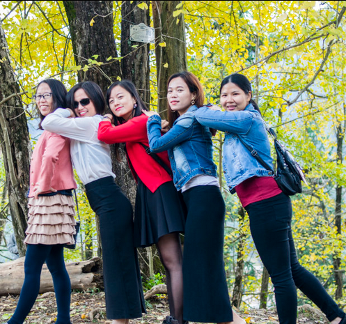 美美的银杏树下一众美女