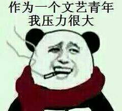 作为一个文艺青年，我压力很大.jpg
