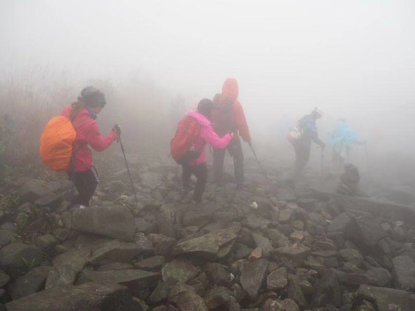 WeChat 圖片_20181206154504.jpg