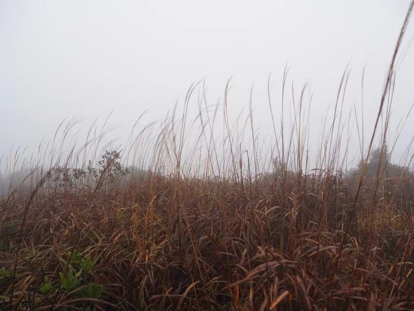 WeChat 圖片_20181206154457.jpg