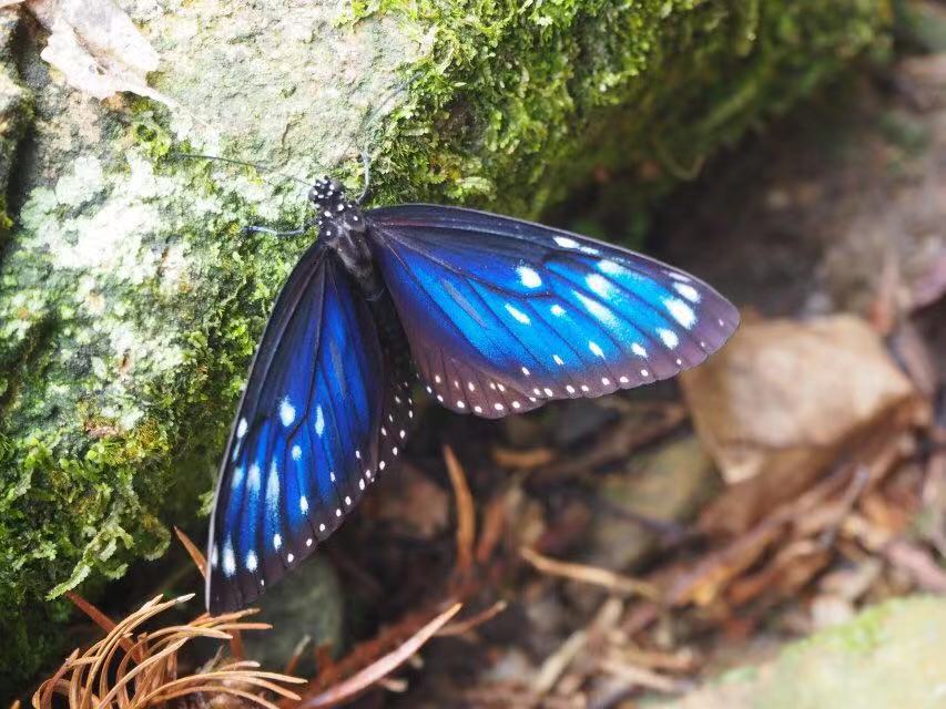 WeChat 圖片_20181206154540.jpg