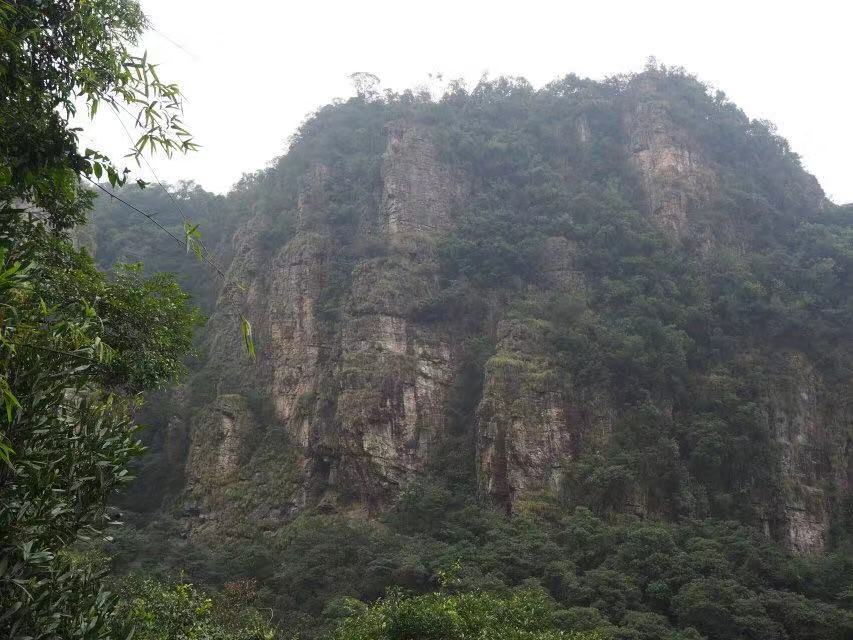 WeChat 圖片_20181206154529.jpg