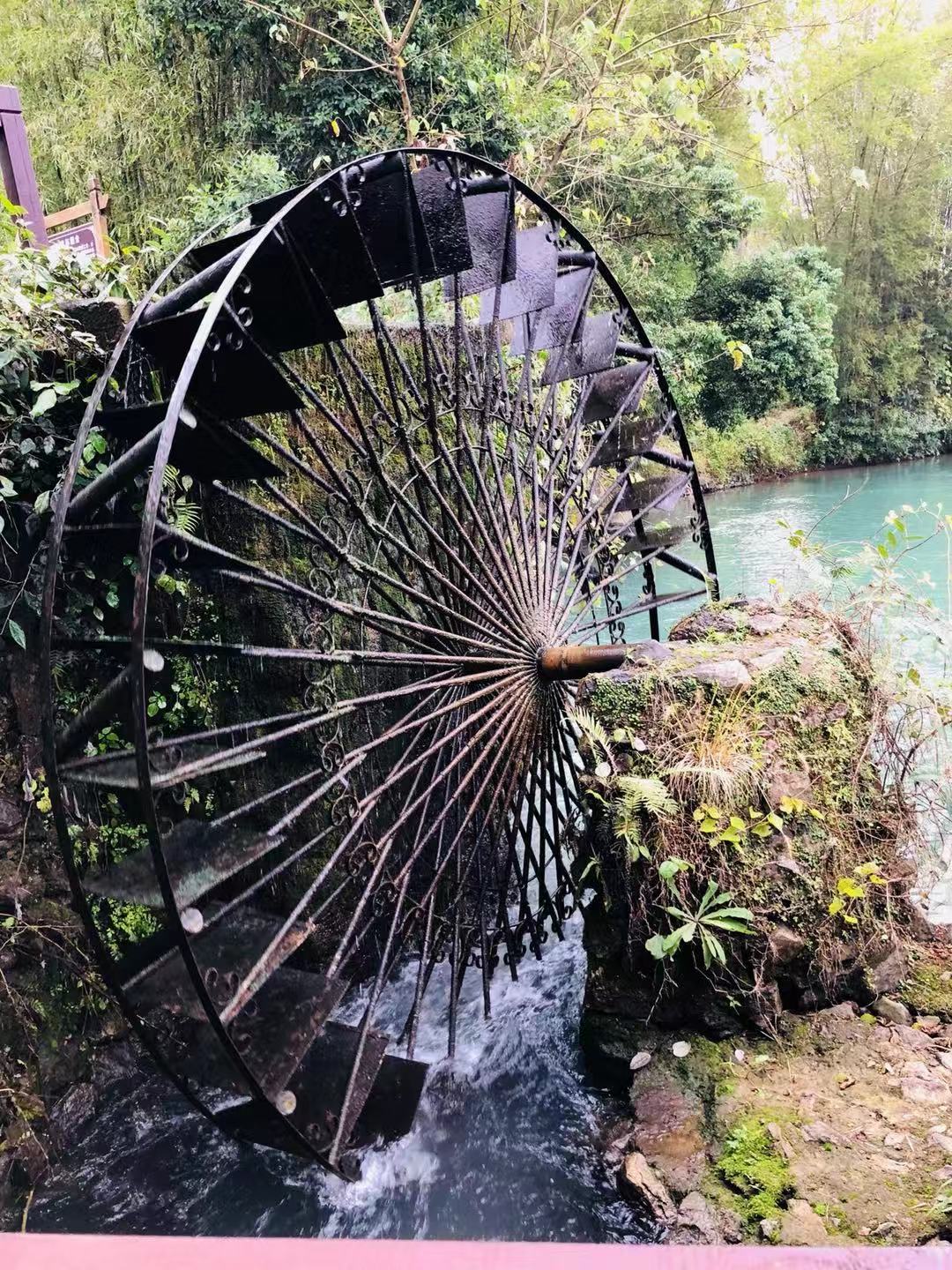 WeChat 圖片_20181225101436.jpg