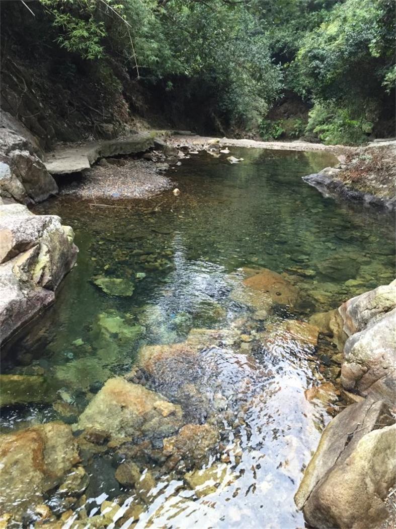 清澈见底的小溪流