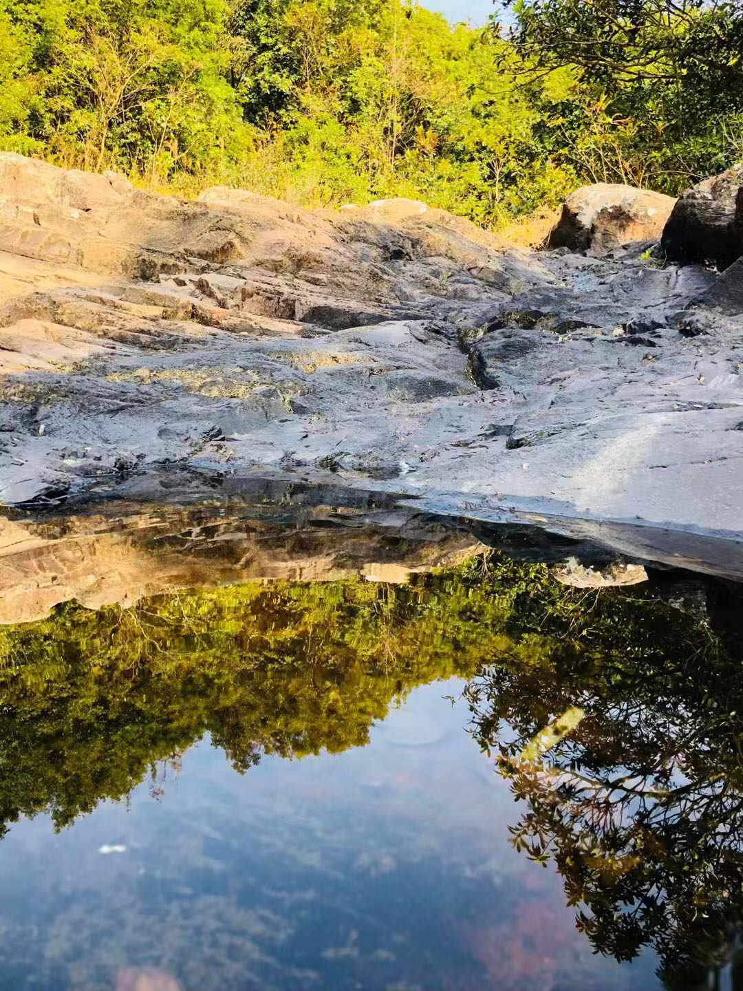 WeChat 圖片_20190124083506.jpg