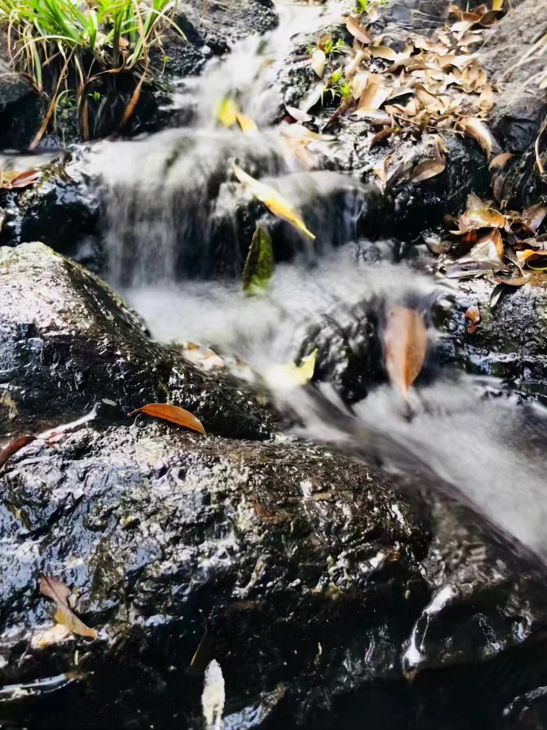 WeChat 圖片_20190124083514.jpg