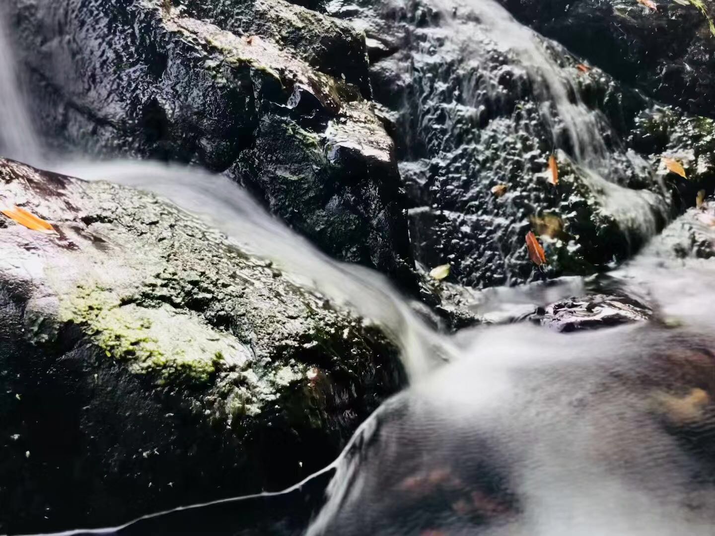 WeChat 圖片_20190124083518.jpg