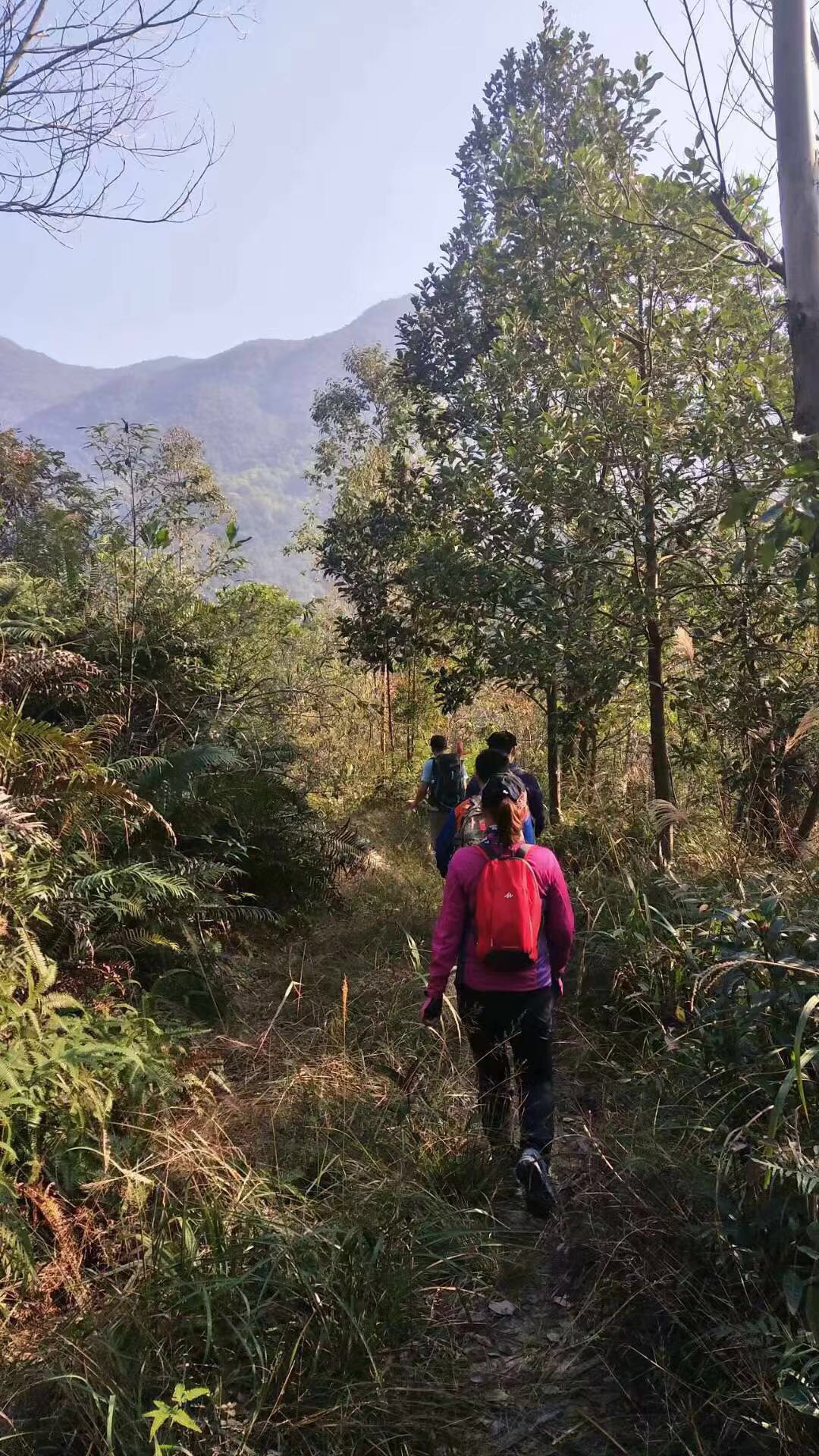 WeChat 圖片_20190124083527.jpg