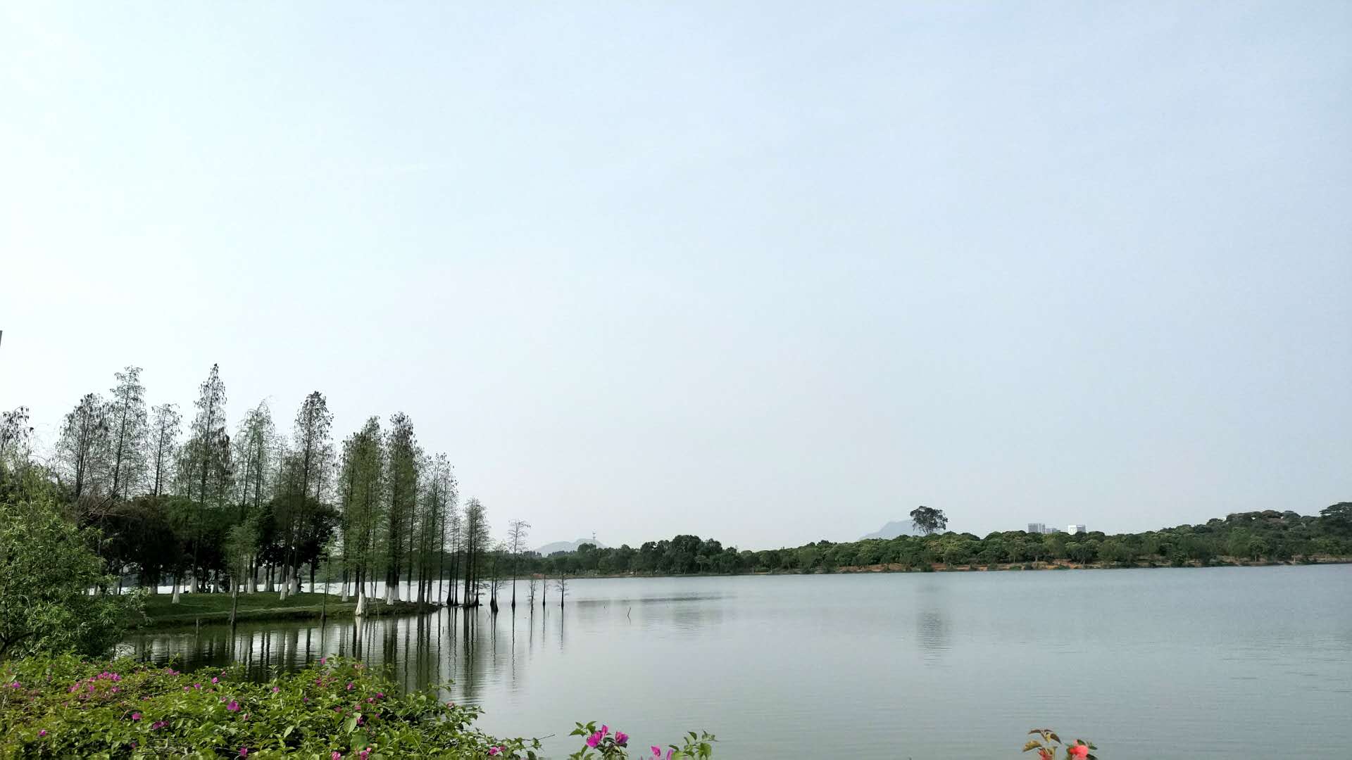 前一天松山湖徒步