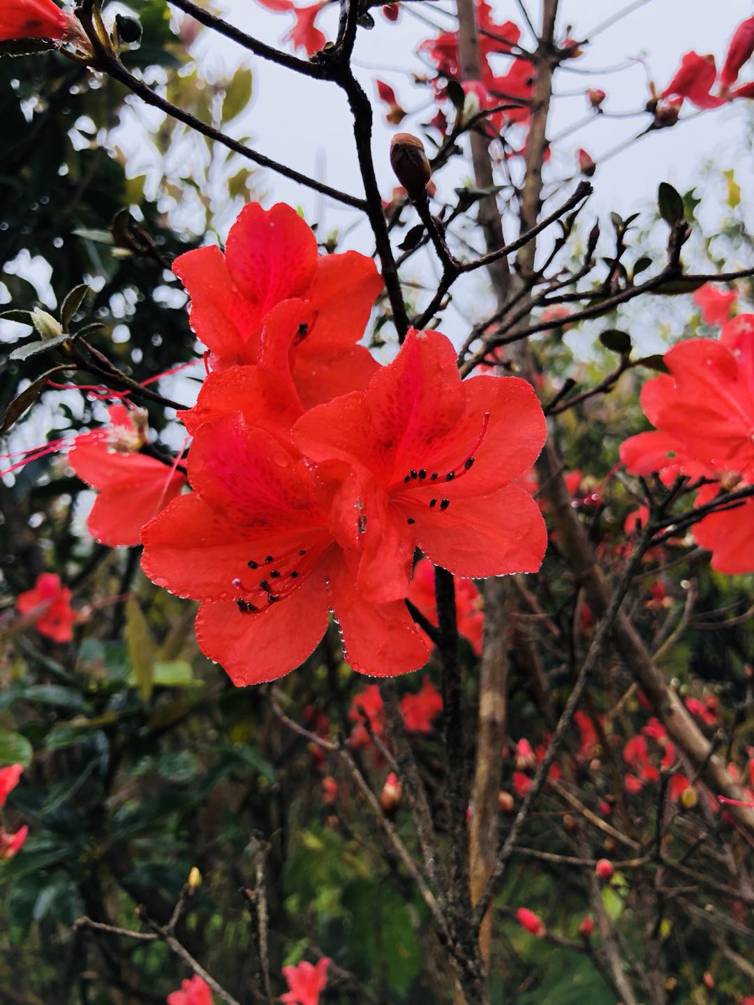 WeChat 圖片_20190412170216.jpg