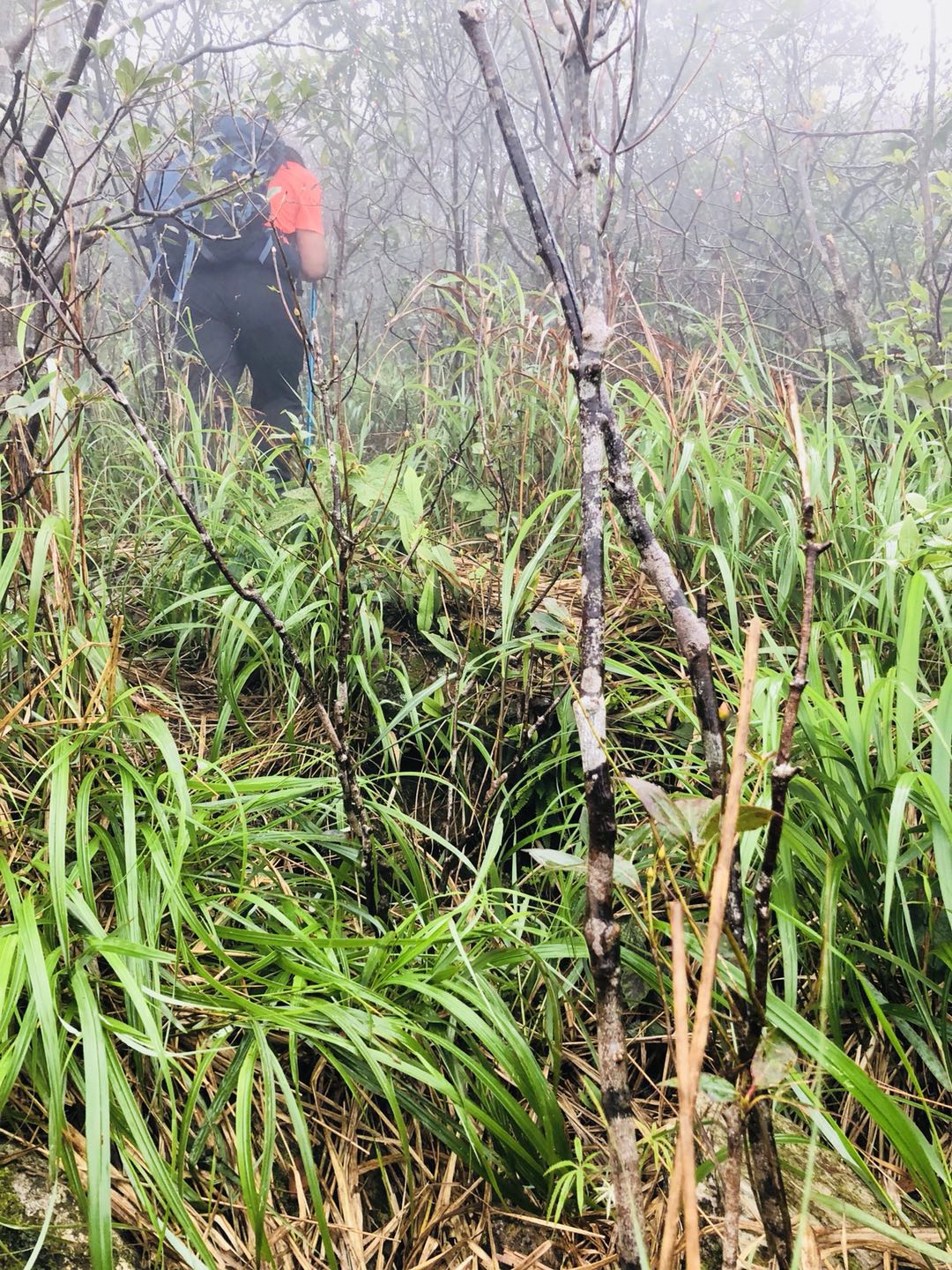 WeChat 圖片_20190412170153.jpg