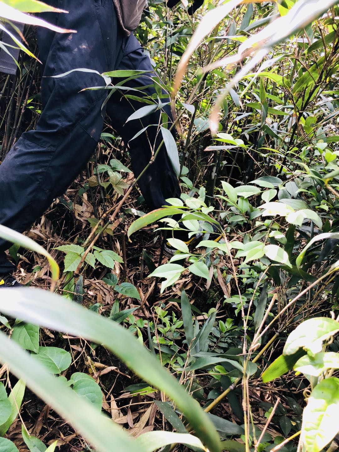 WeChat 圖片_20190412170238.jpg