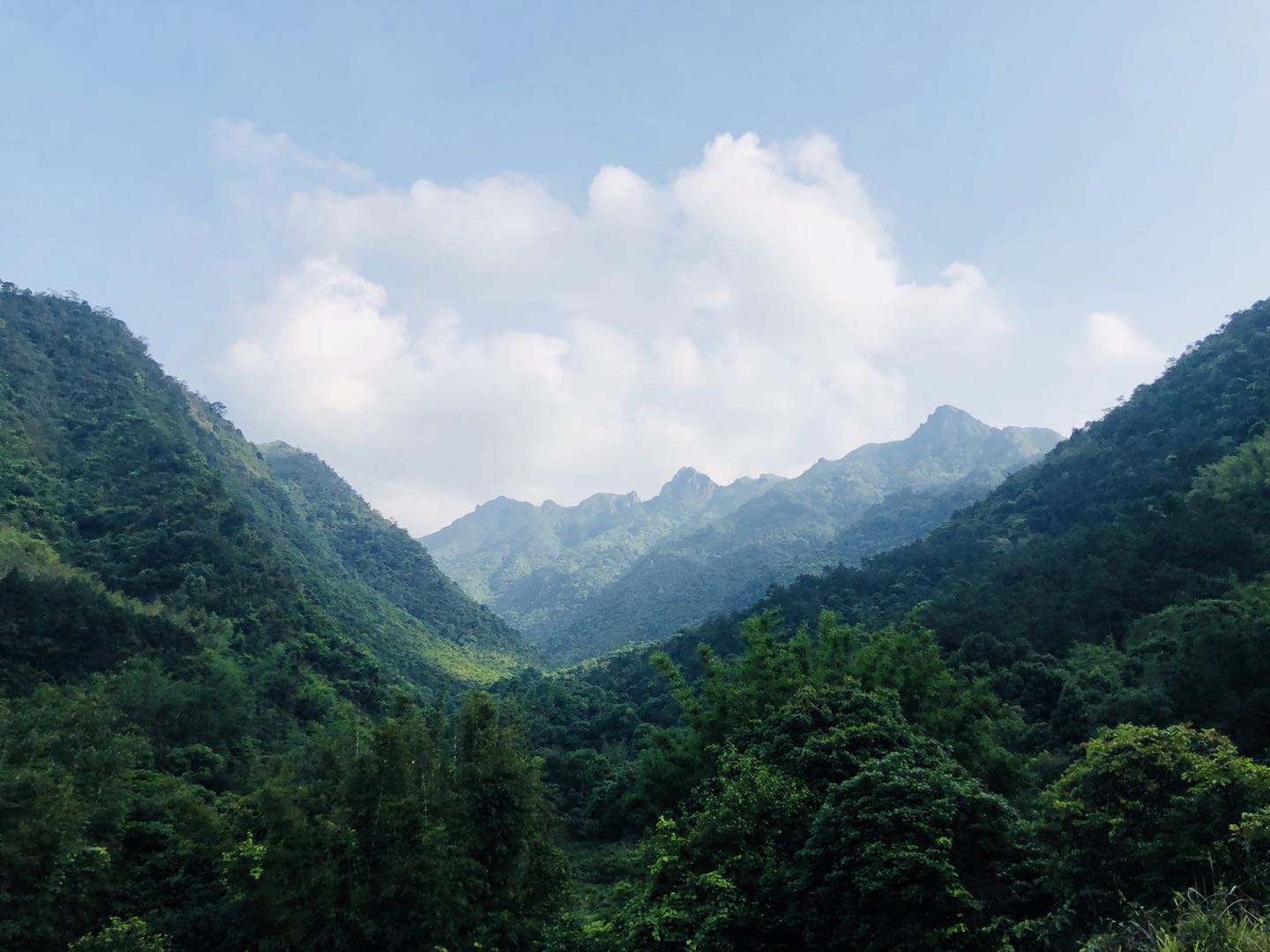 WeChat 圖片_20190412170247.jpg