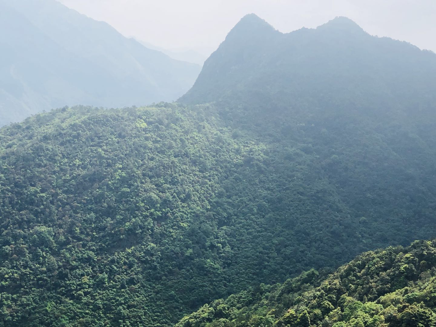 WeChat 圖片_20190412170230.jpg