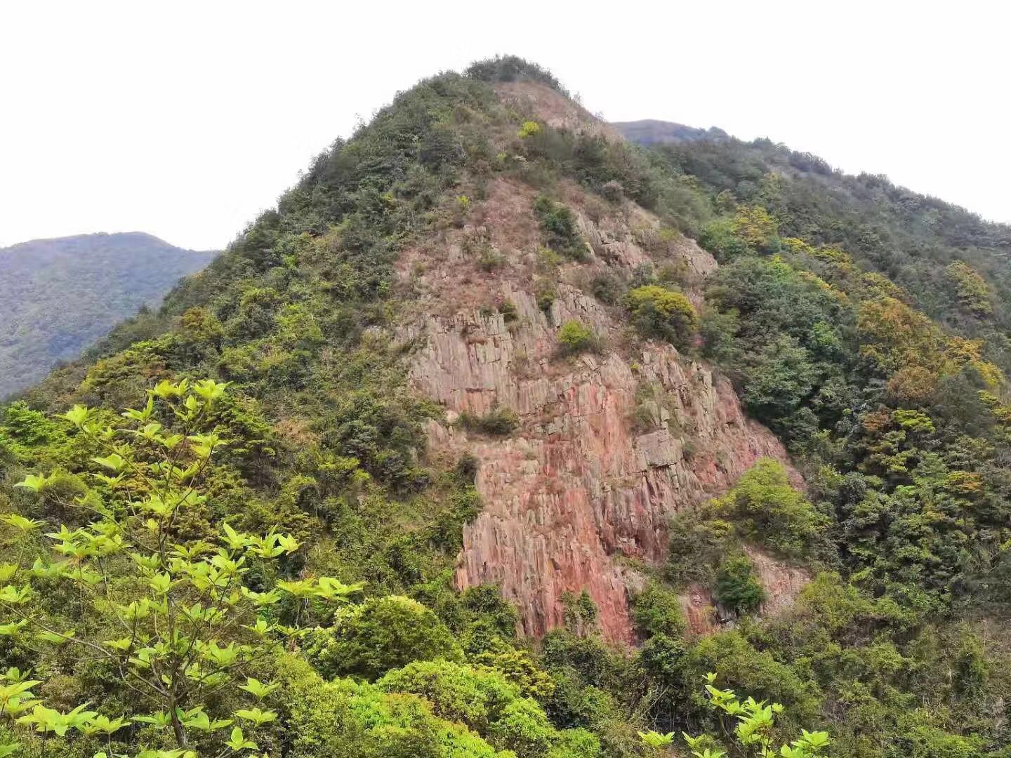 WeChat 圖片_20190417152154.jpg