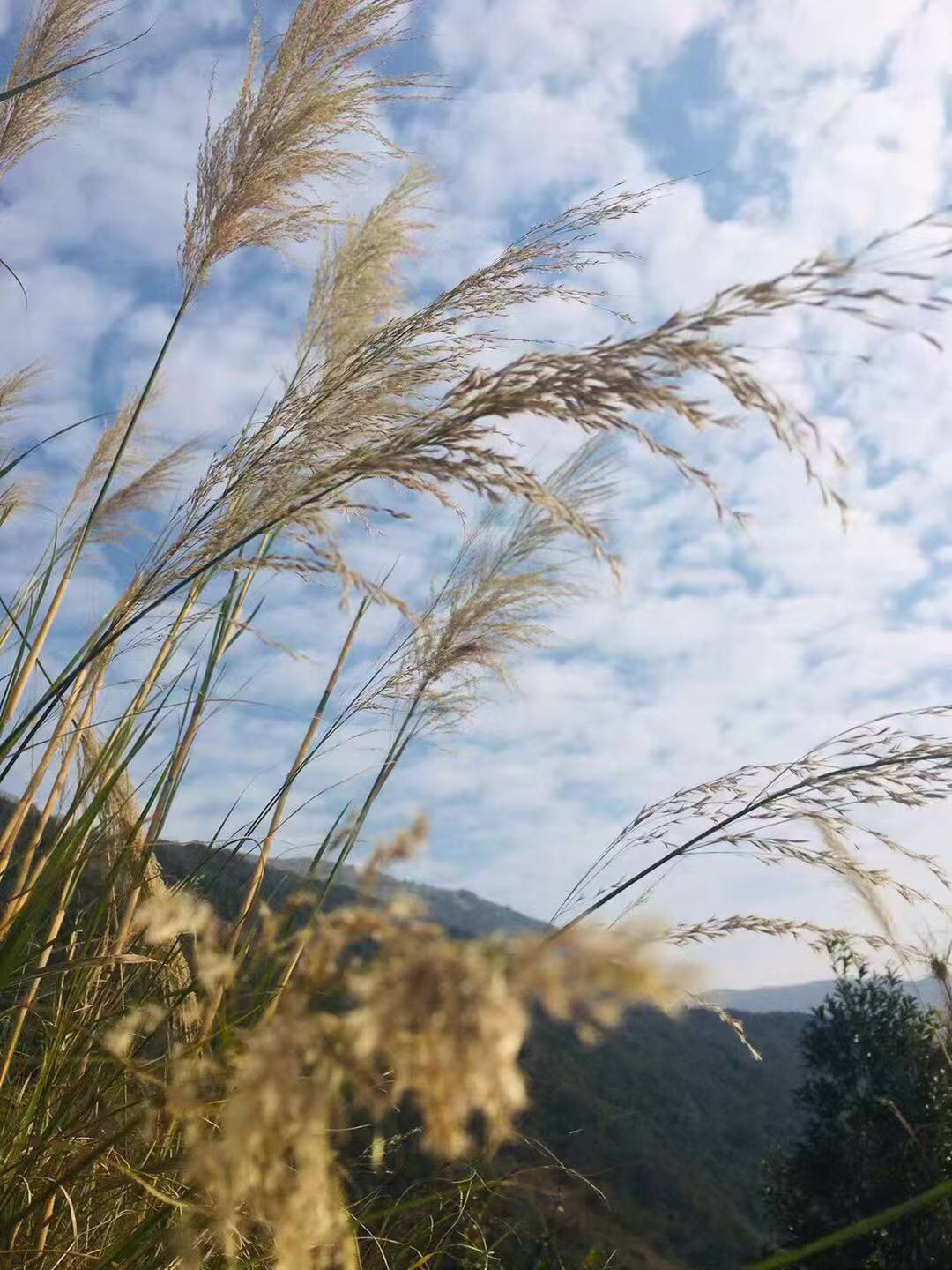 WeChat 圖片_20190417151950.jpg