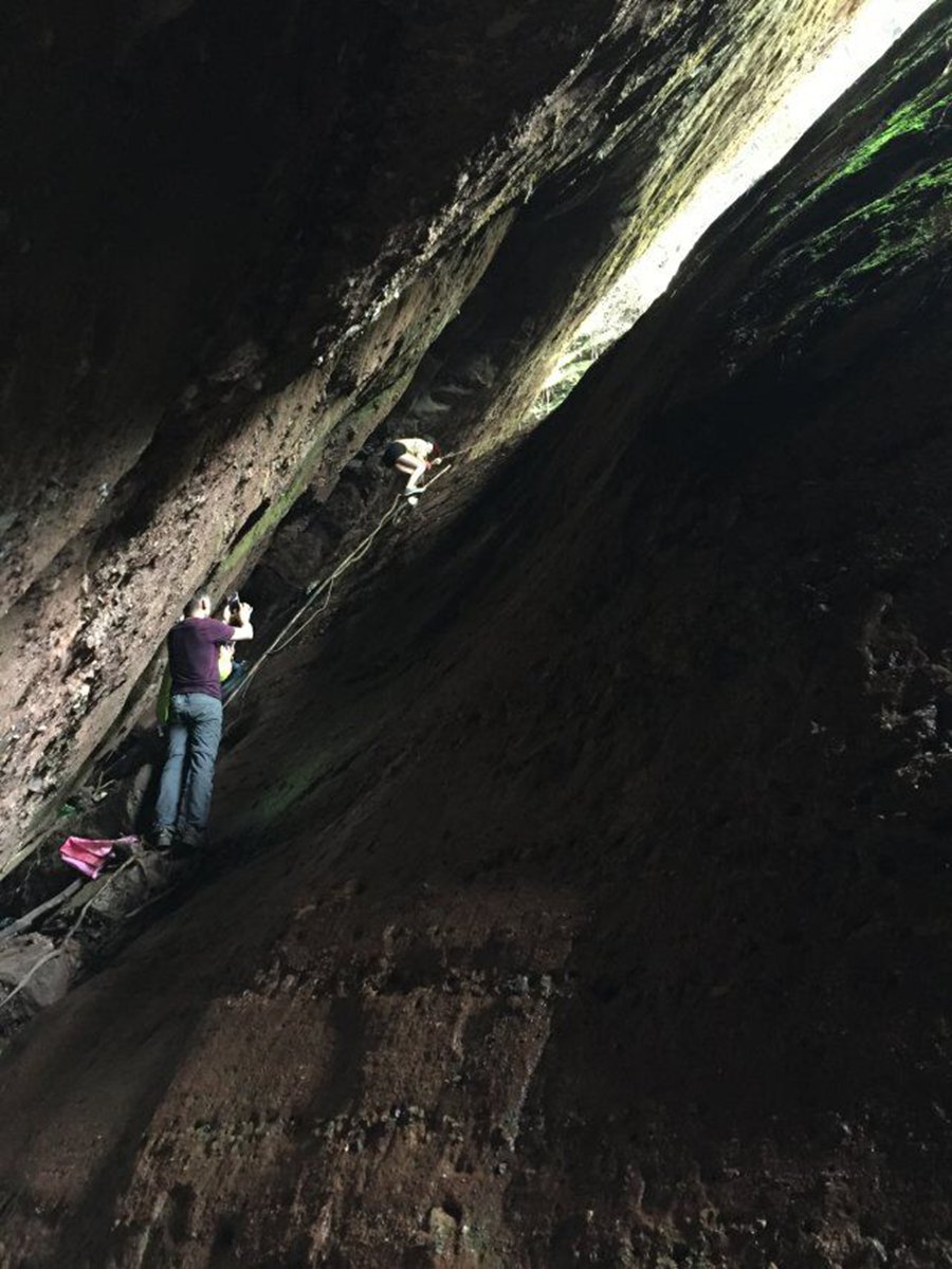 有跟树腾爬上去看看