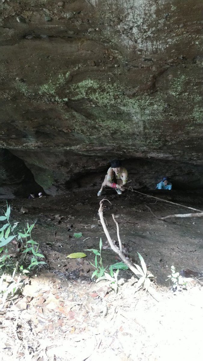 这是一条支路，些路不通。不知那位前辈放了个树腾，大胆的可以上去，石壁湿滑，上下比较吃力 ... ...