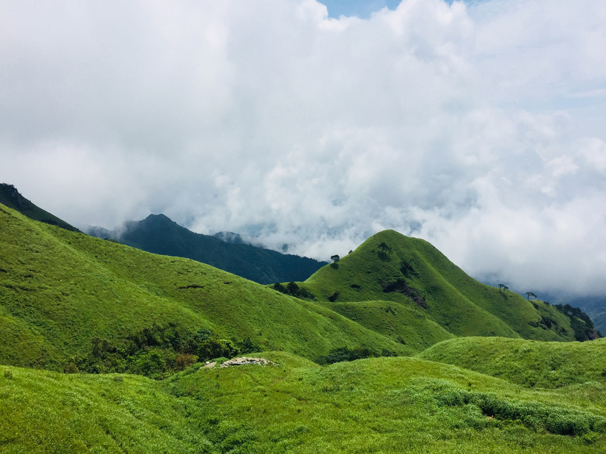远近高低各不同