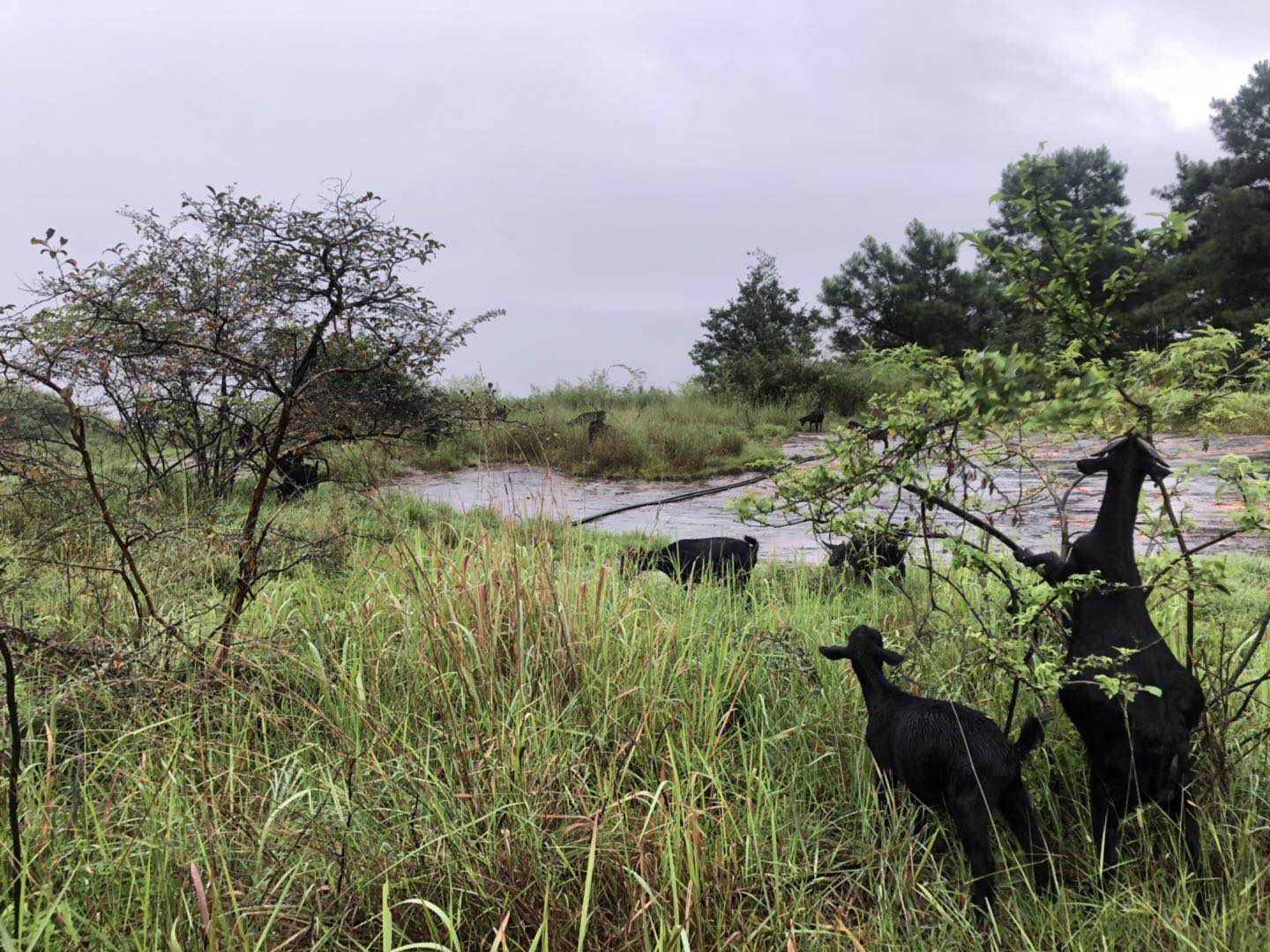 WeChat 圖片_20190717193256.jpg