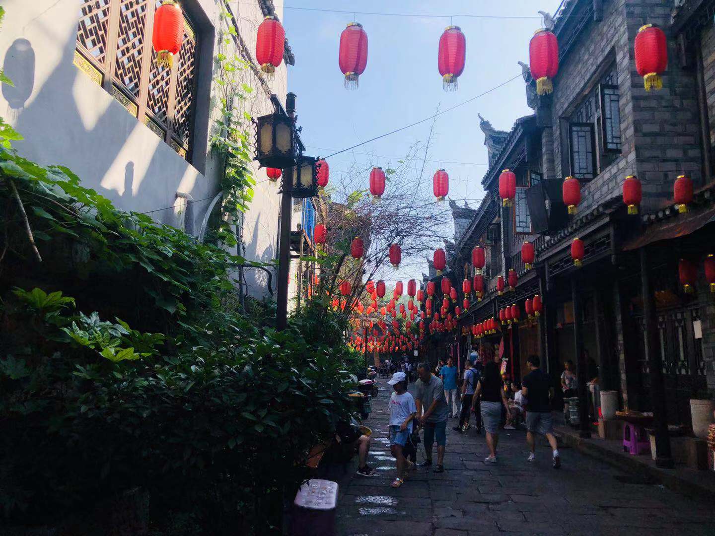 WeChat 圖片_20190815160058.jpg