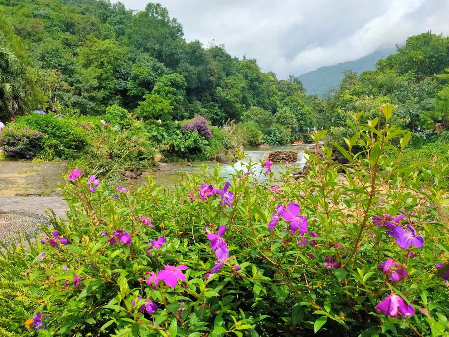 WeChat 圖片_20190819151113.jpg