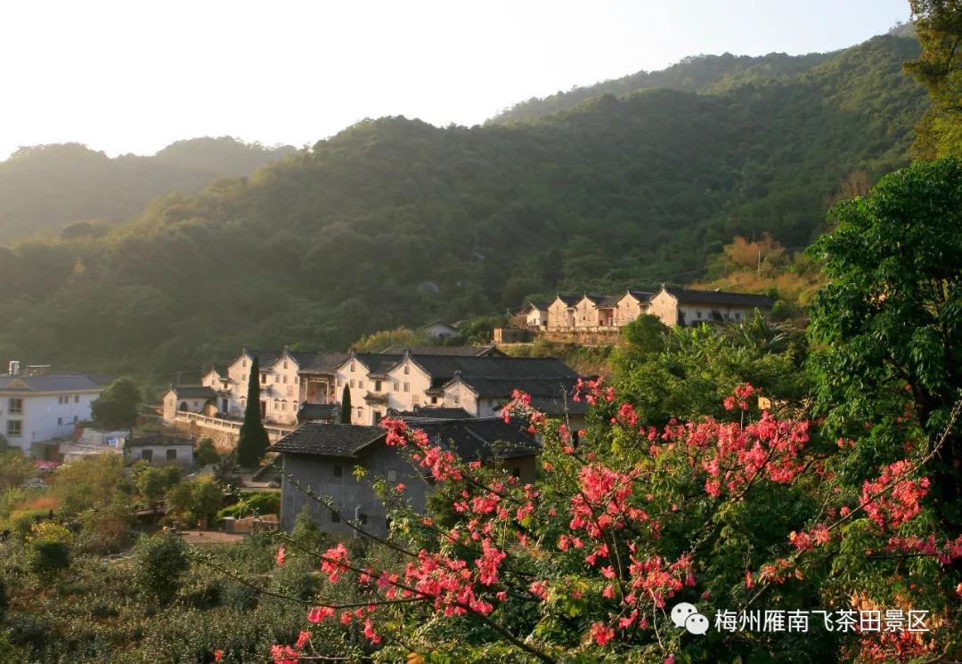 WeChat 圖片_20191102152250.jpg