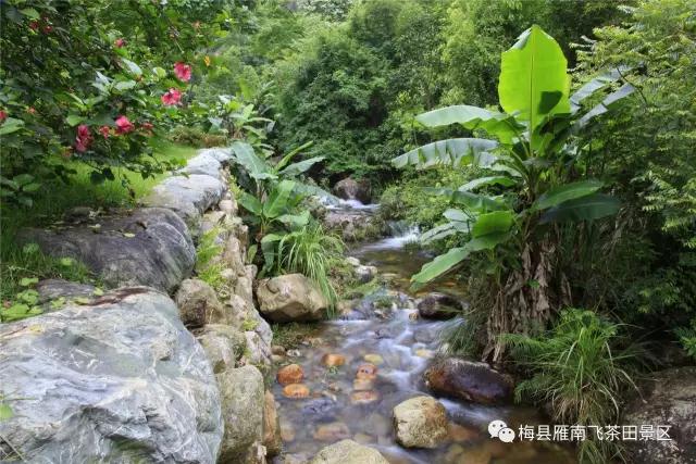 WeChat 圖片_20191102152254.jpg