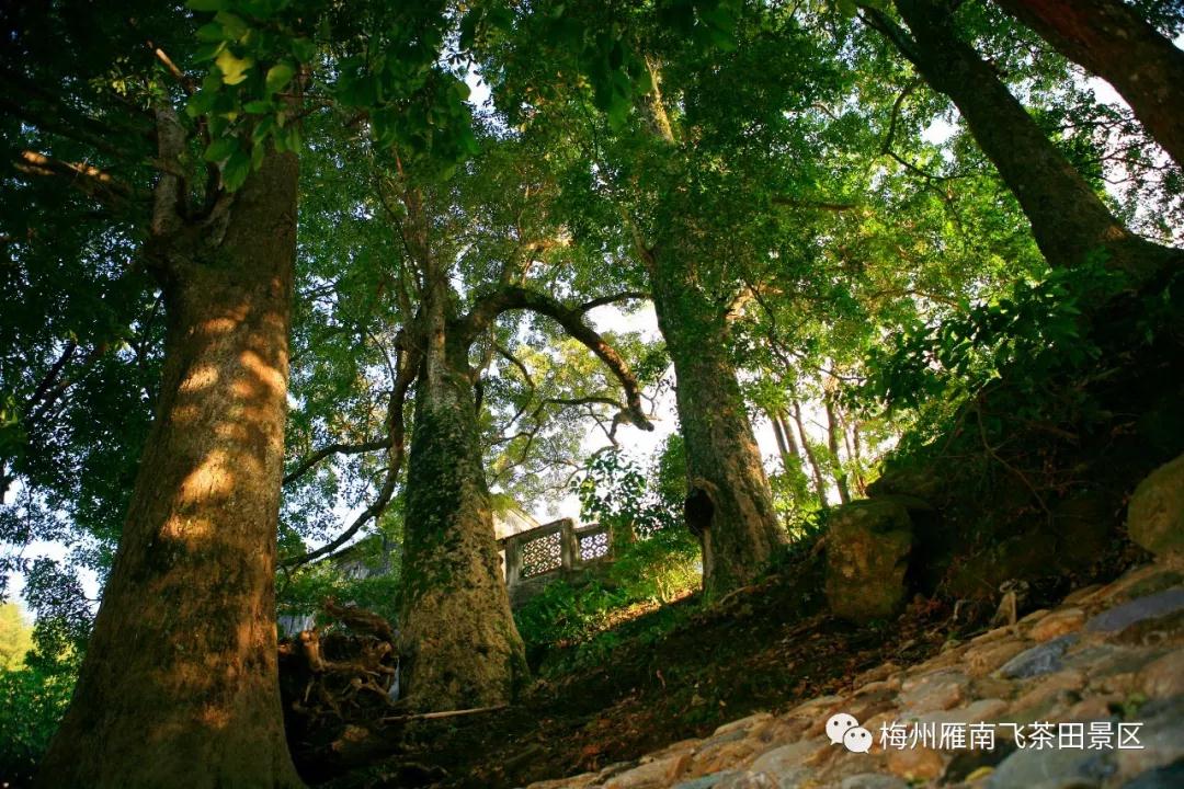 WeChat 圖片_20191102152306.jpg