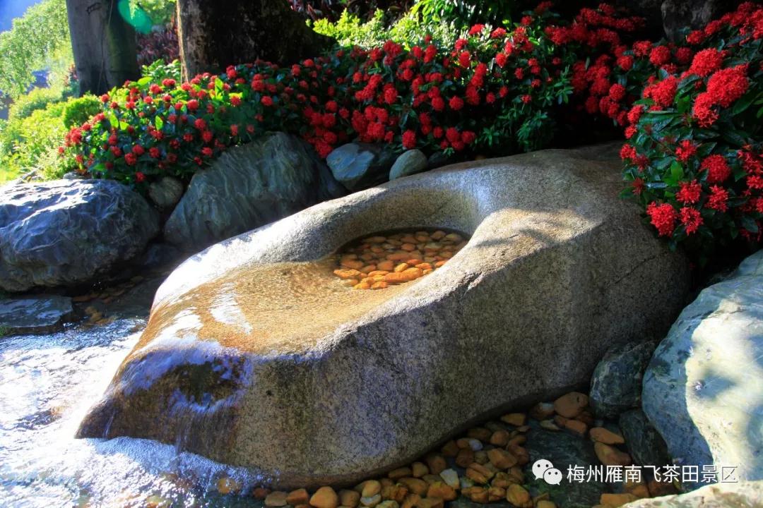 WeChat 圖片_20191102152302.jpg