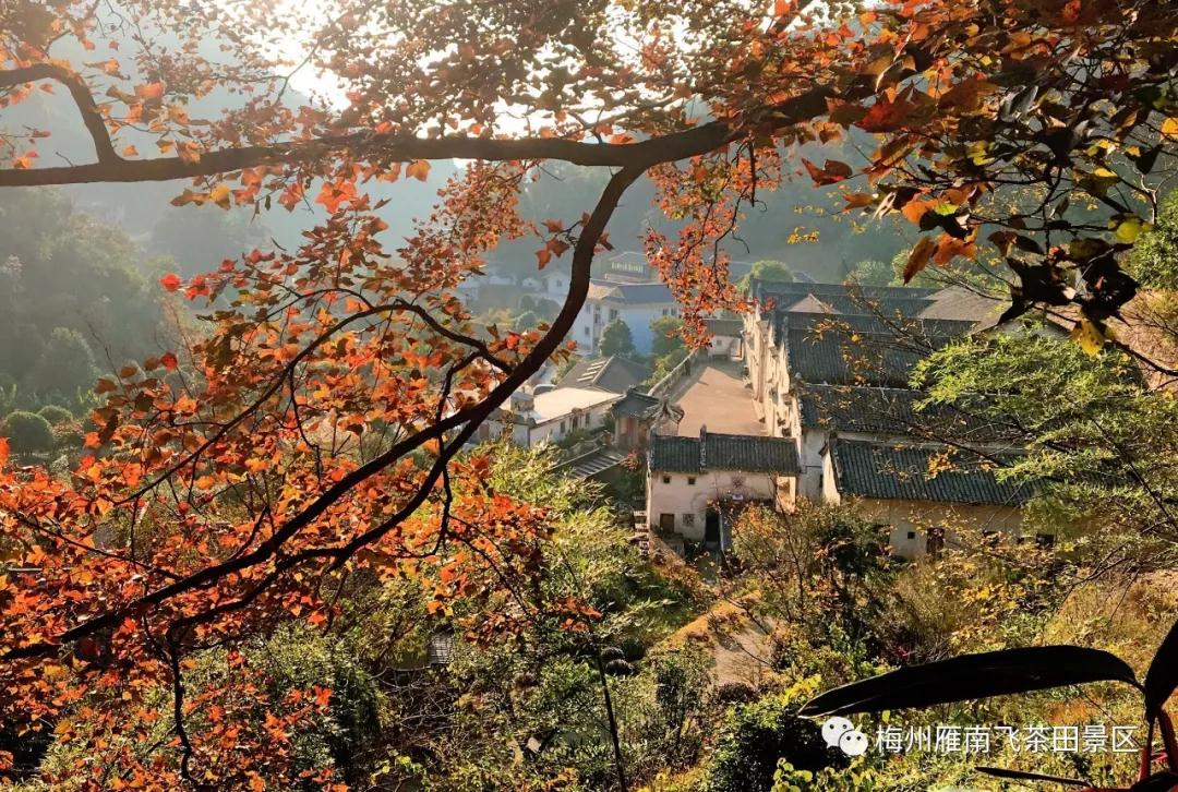 WeChat 圖片_20191102152315.jpg