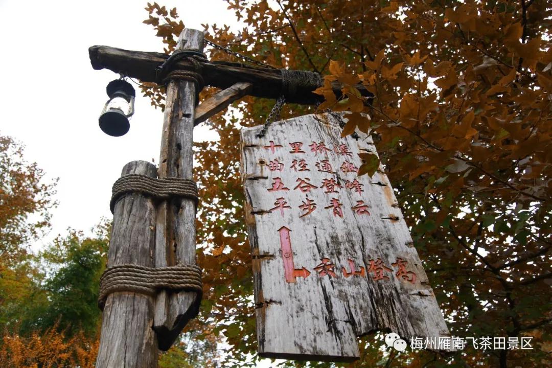 WeChat 圖片_20191102152332.jpg