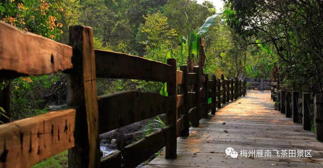 WeChat 圖片_20191102152340.jpg