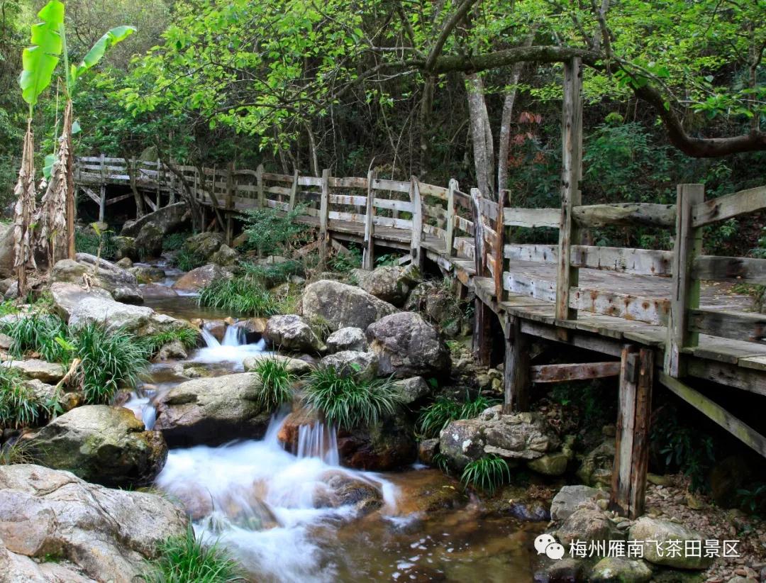 WeChat 圖片_20191102152336.jpg