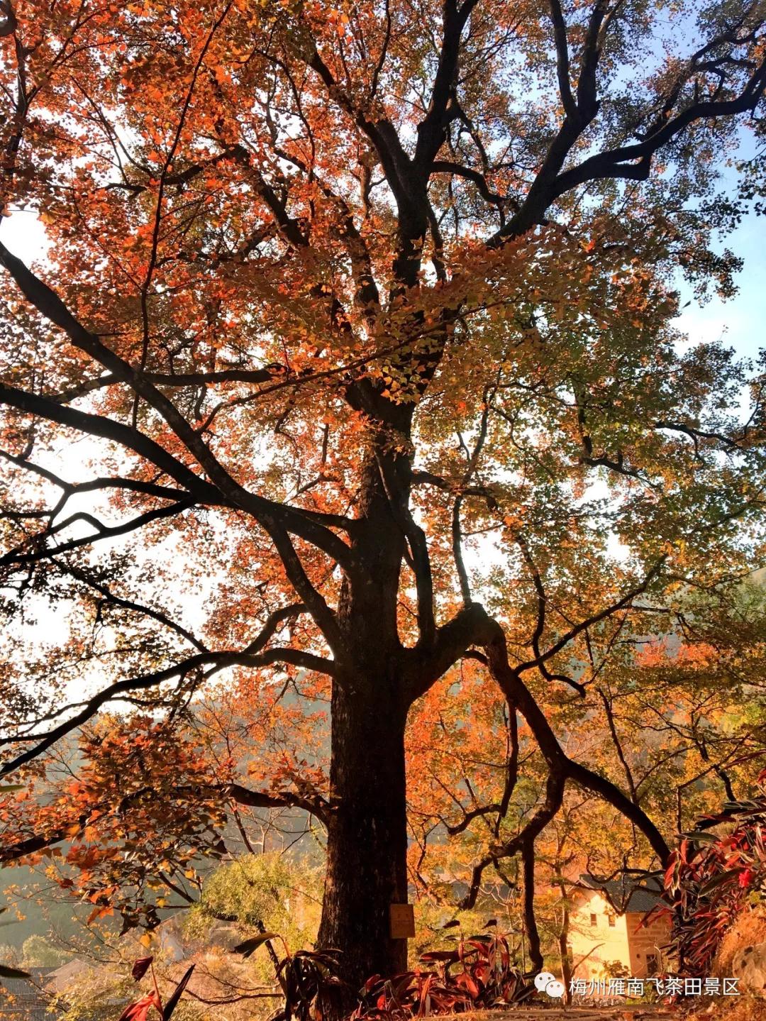 WeChat 圖片_20191102152352.jpg