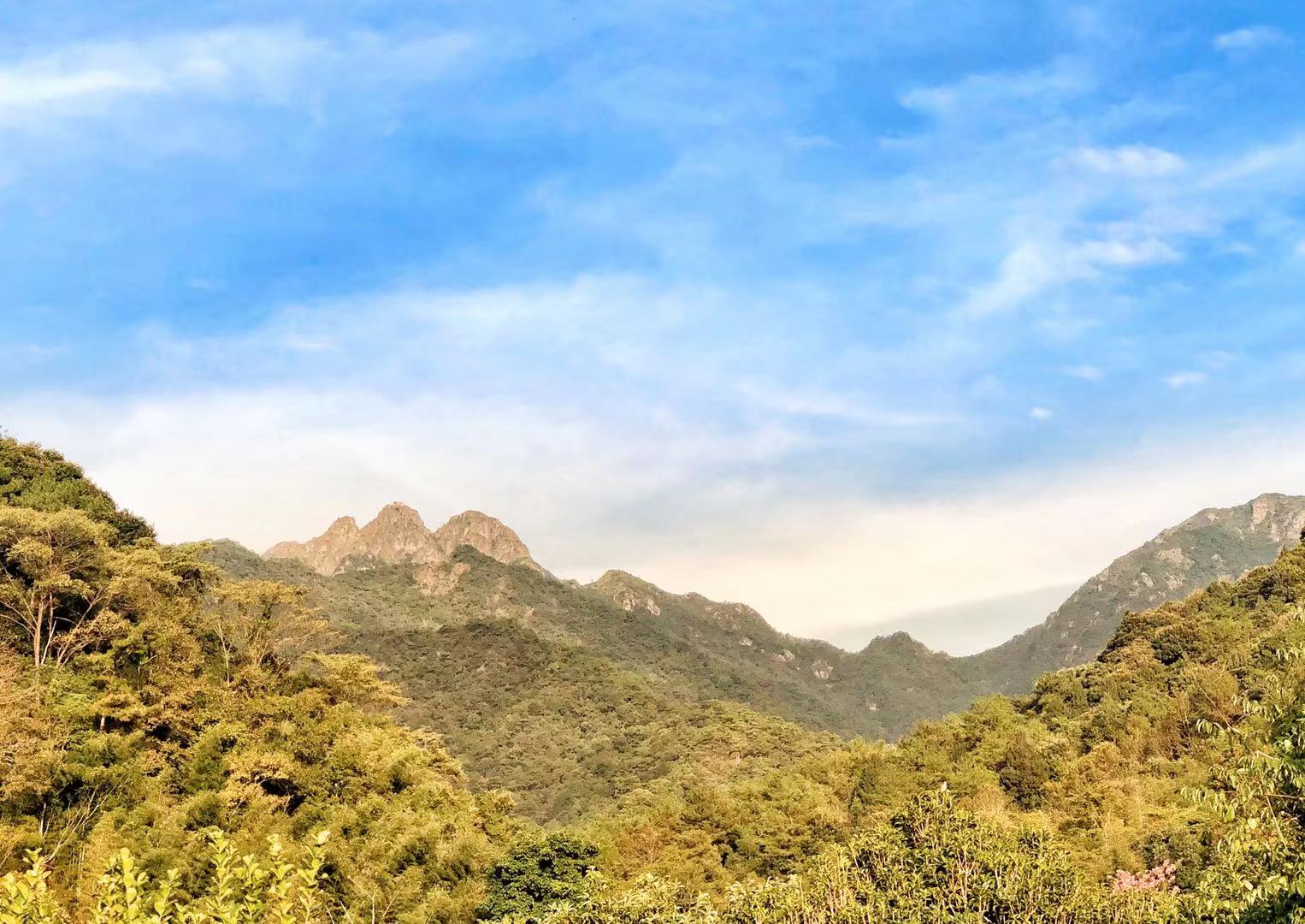 WeChat 圖片_201911021441301.jpg