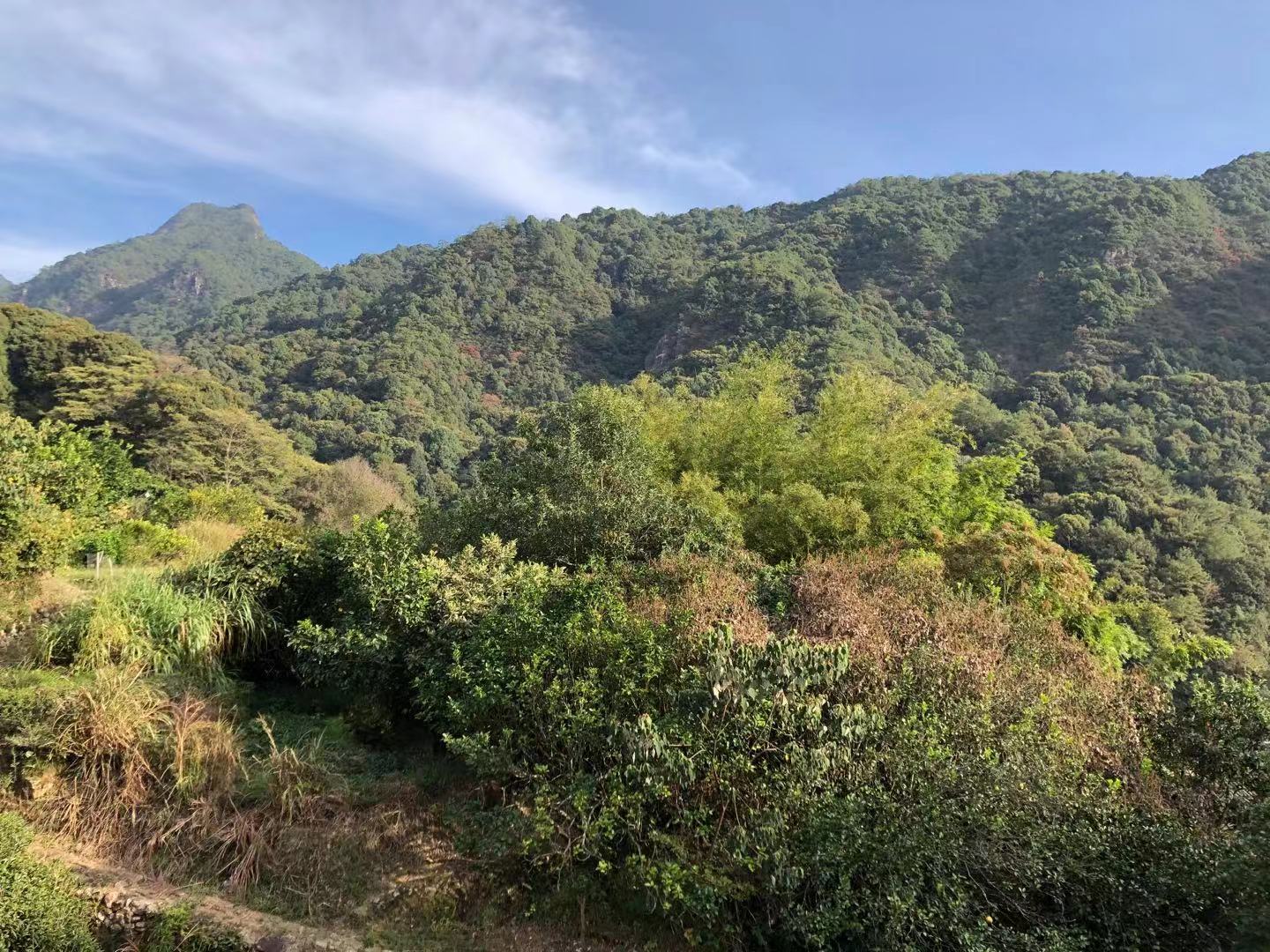 WeChat 圖片_201911021441303.jpg