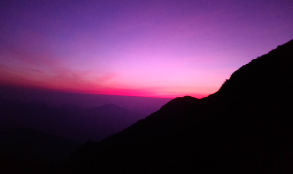 早上起来看到的第一个景色