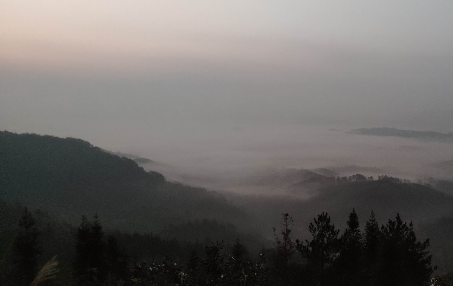 调整大小 IMG_20191203_163253.jpg