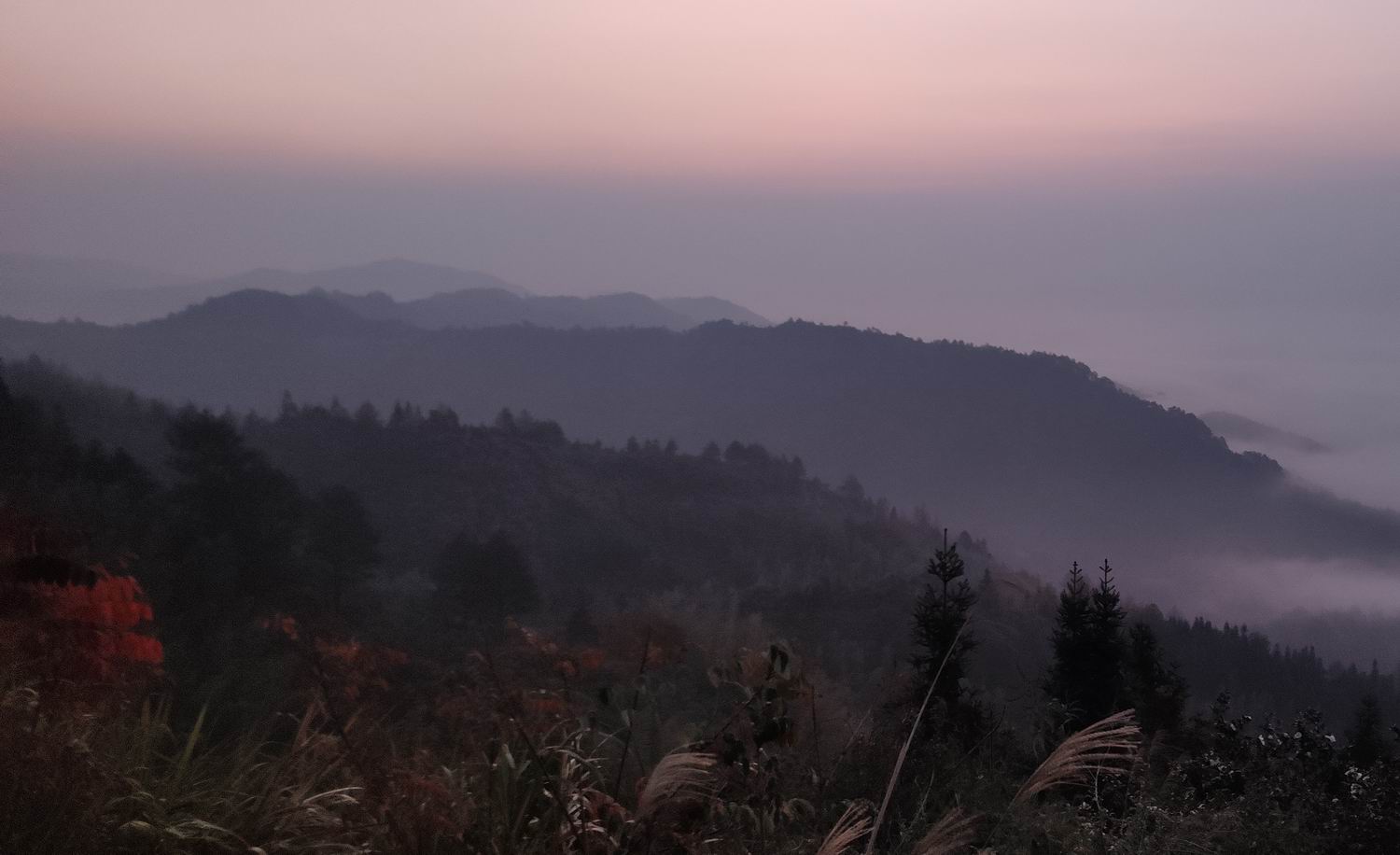 调整大小 IMG_20191203_163349.jpg