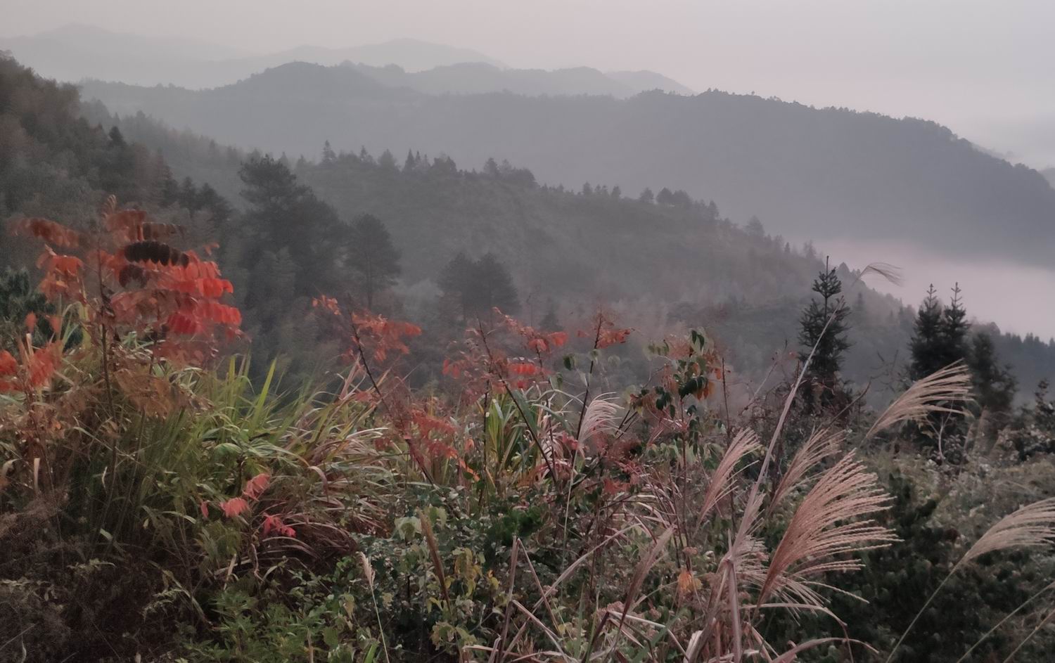 调整大小 IMG_20191203_163408.jpg