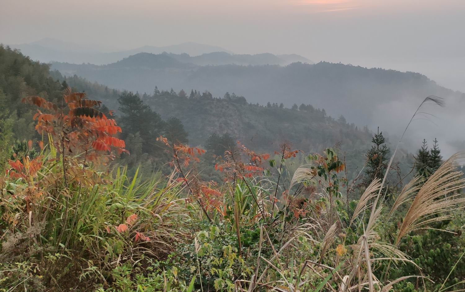 调整大小 IMG_20191203_163425.jpg