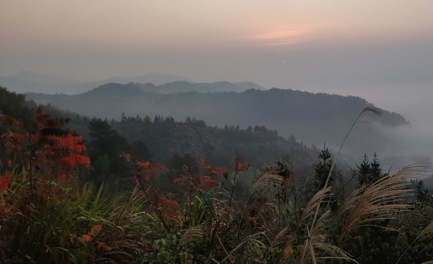 调整大小 IMG_20191203_163444.jpg