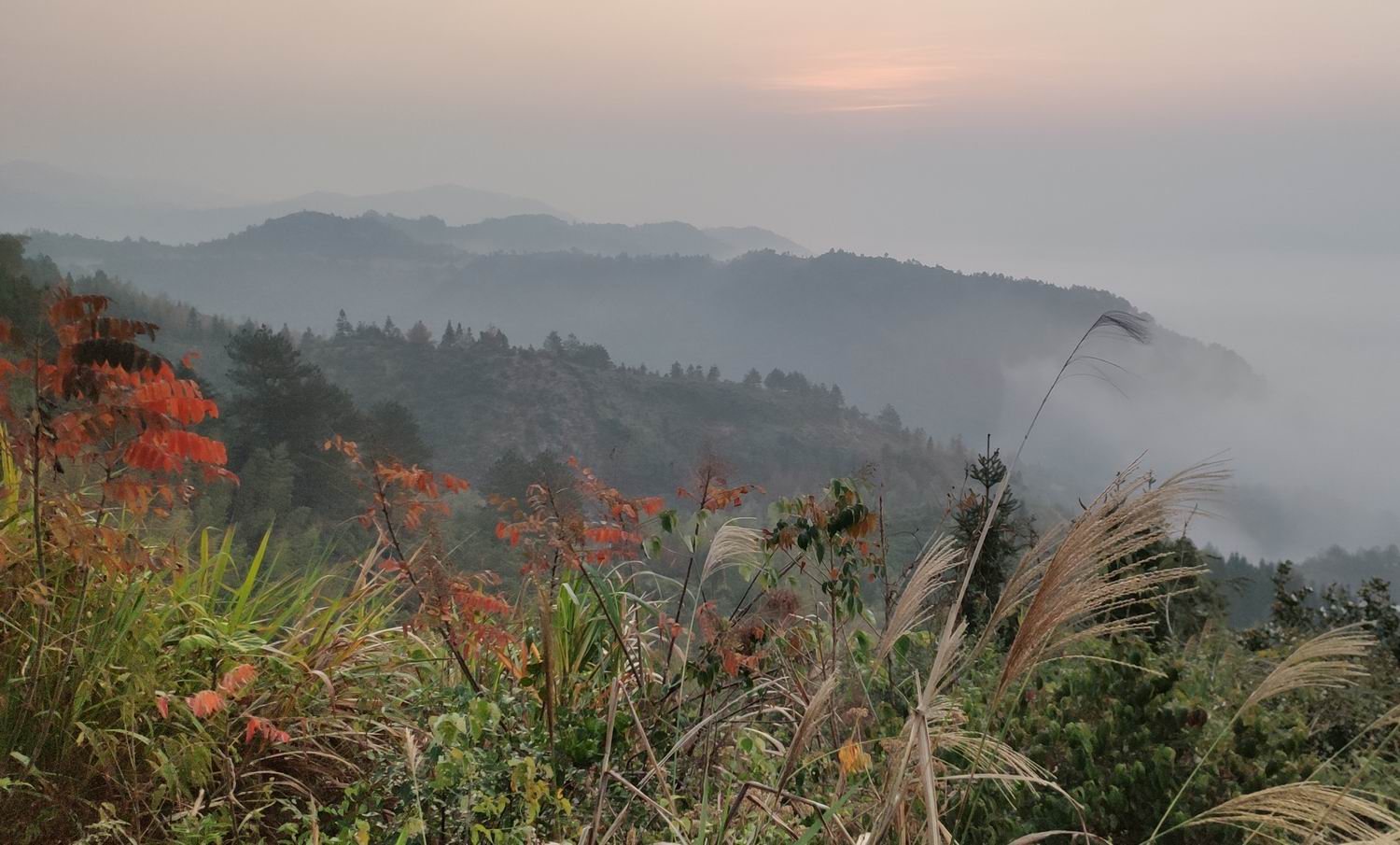 调整大小 IMG_20191203_163433.jpg