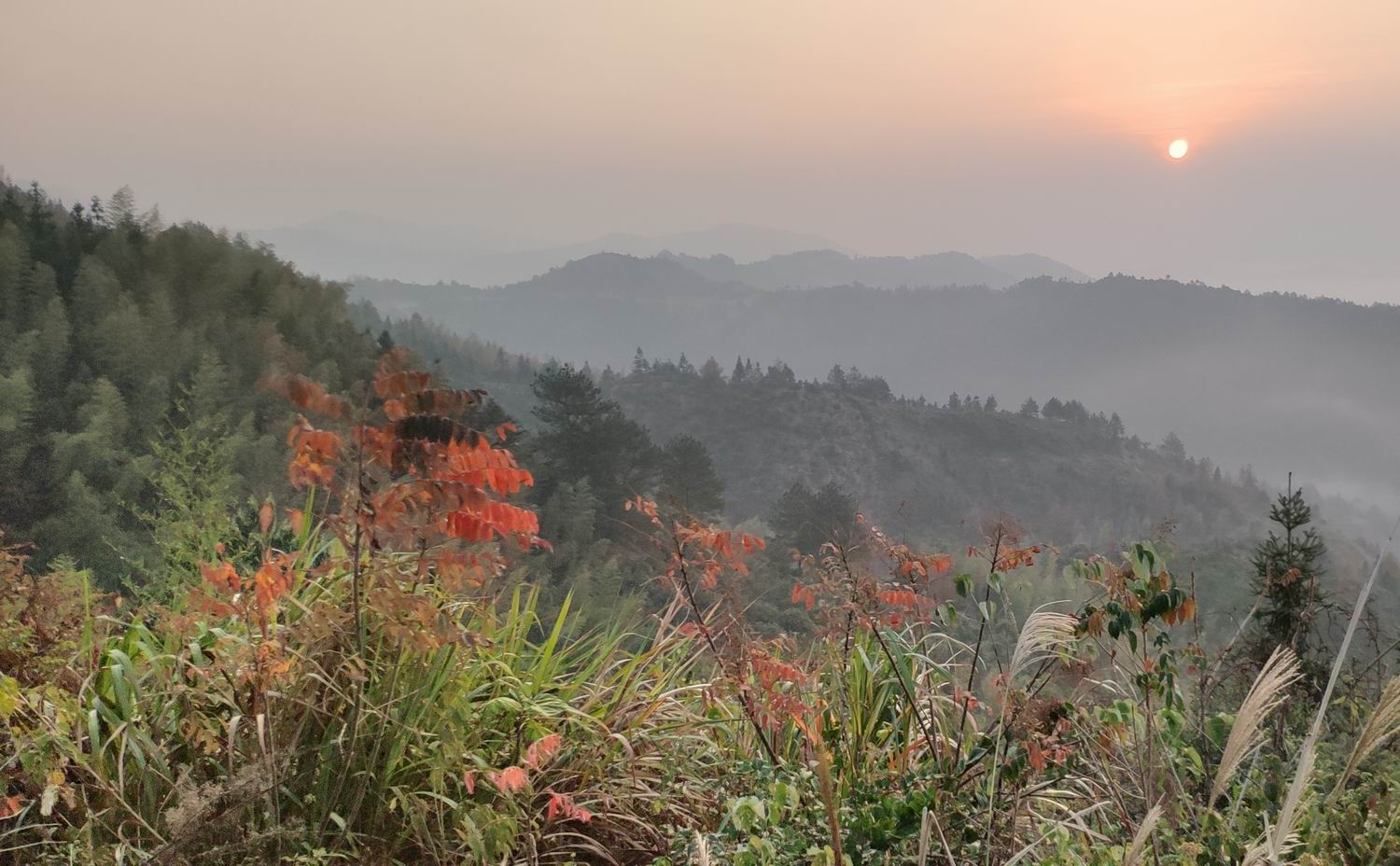 调整大小 IMG_20191203_163607.jpg